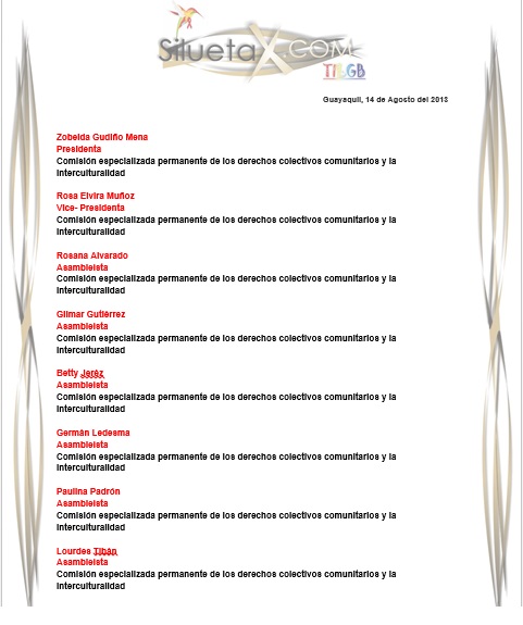 Observaciones LGBTI al proyecto de Ley organiza para los consejos nacionales por la igualdad por parte de Diane Rodriguez Silueta X