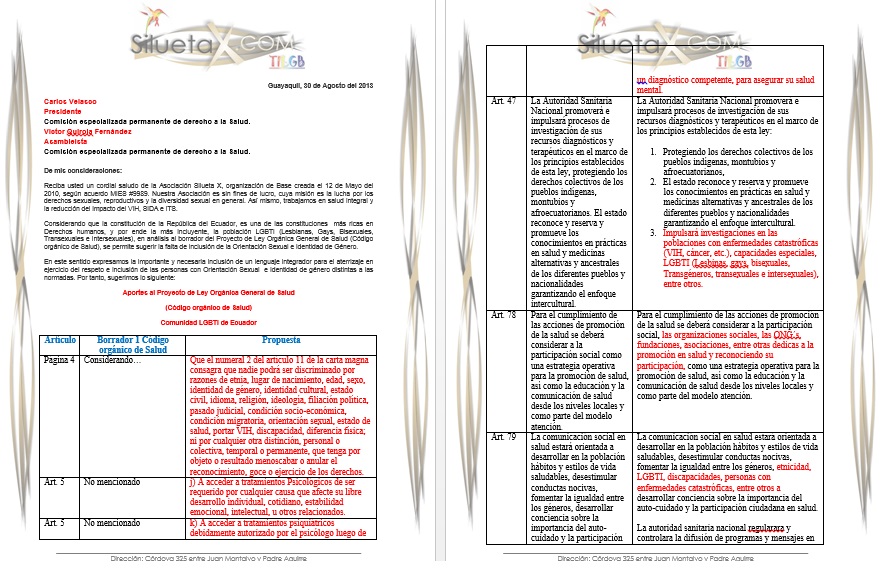 Aportes GLBTI a la ley organica de salud por parte de Diane Rodriguez Silueta X