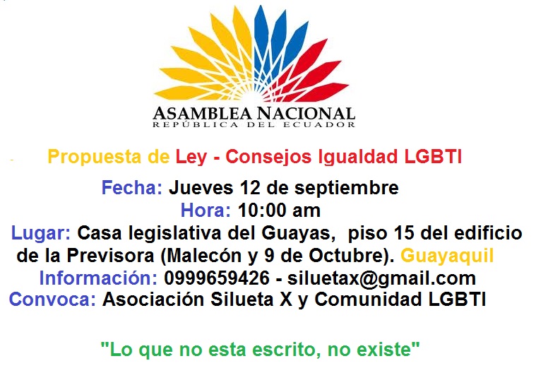 Convocatoria a respaldar consejos de Igualdad LGBTI en Guayaquil - Silueta X