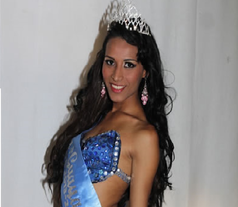 me gustaria estar en la television-Siluetax-DianeRodriguez