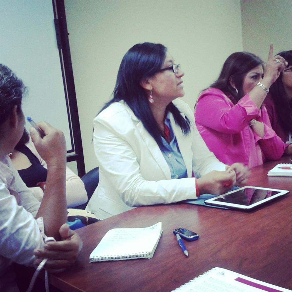 Consejo sectorial de Salud se Reunió en Quito (6)