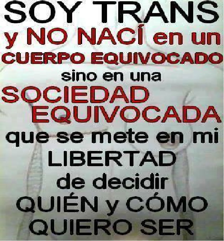 Las luchas por los derechos de las personas trans en Ecuador llegan a la CIDH-Siluetax-DianeRodriguez