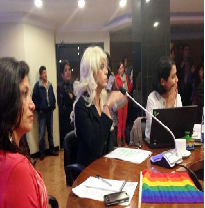 En suspenso ordenanza por los derechos LGTBI-Siluetax-DianeRodriguezZ