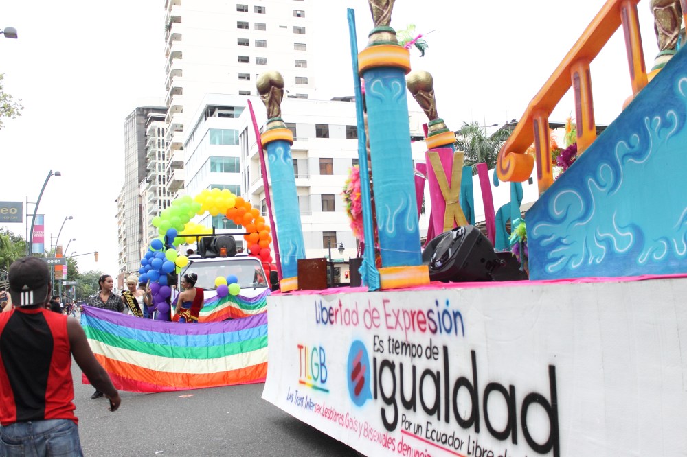 Desfile del Orgullo y Diversidad Sexual 2014 - Organizado por Asociación SIlueta X (10)