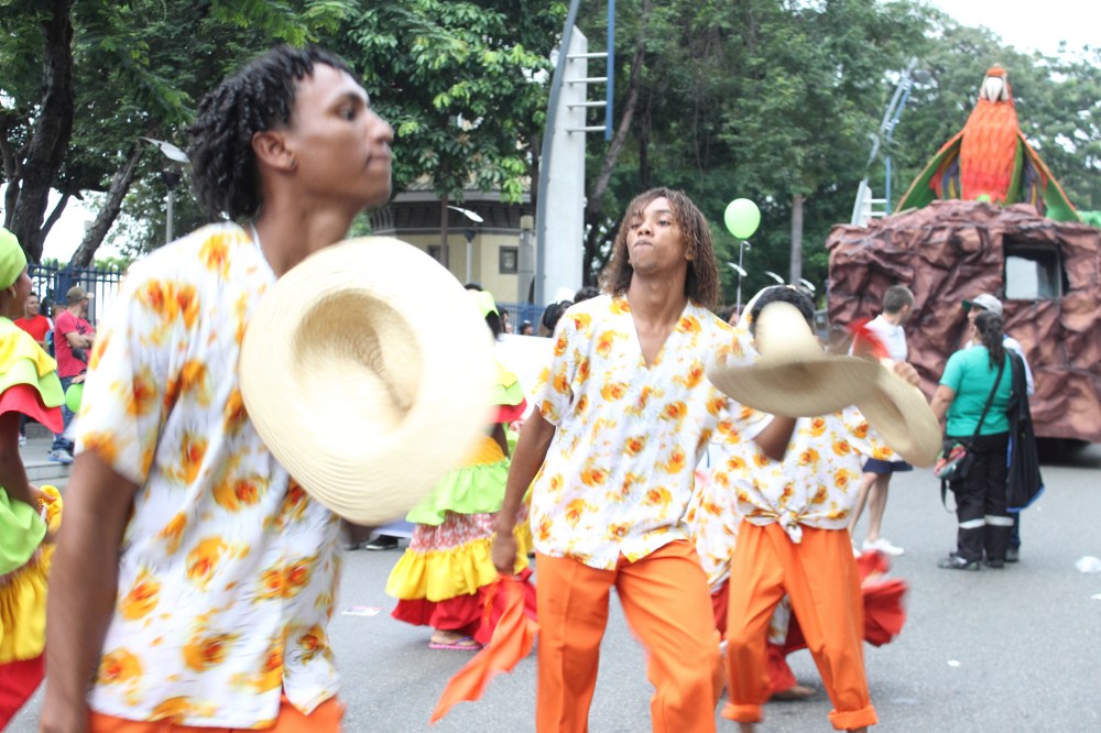 Desfile del Orgullo y Diversidad Sexual 2014 - Organizado por Asociación SIlueta X (16)