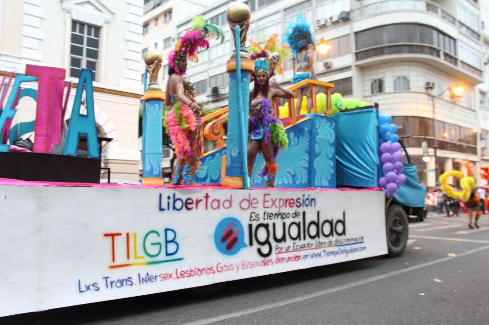 Desfile del Orgullo y Diversidad Sexual 2014 - Organizado por Asociación SIlueta X (50)