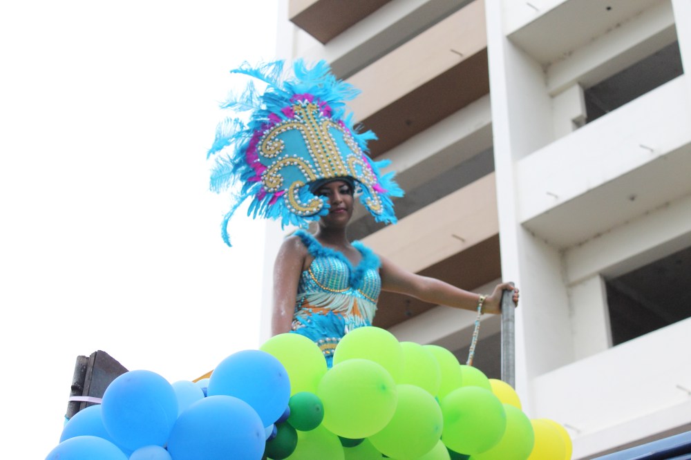 Desfile del Orgullo y Diversidad Sexual 2014 - Organizado por Asociación SIlueta X (8)