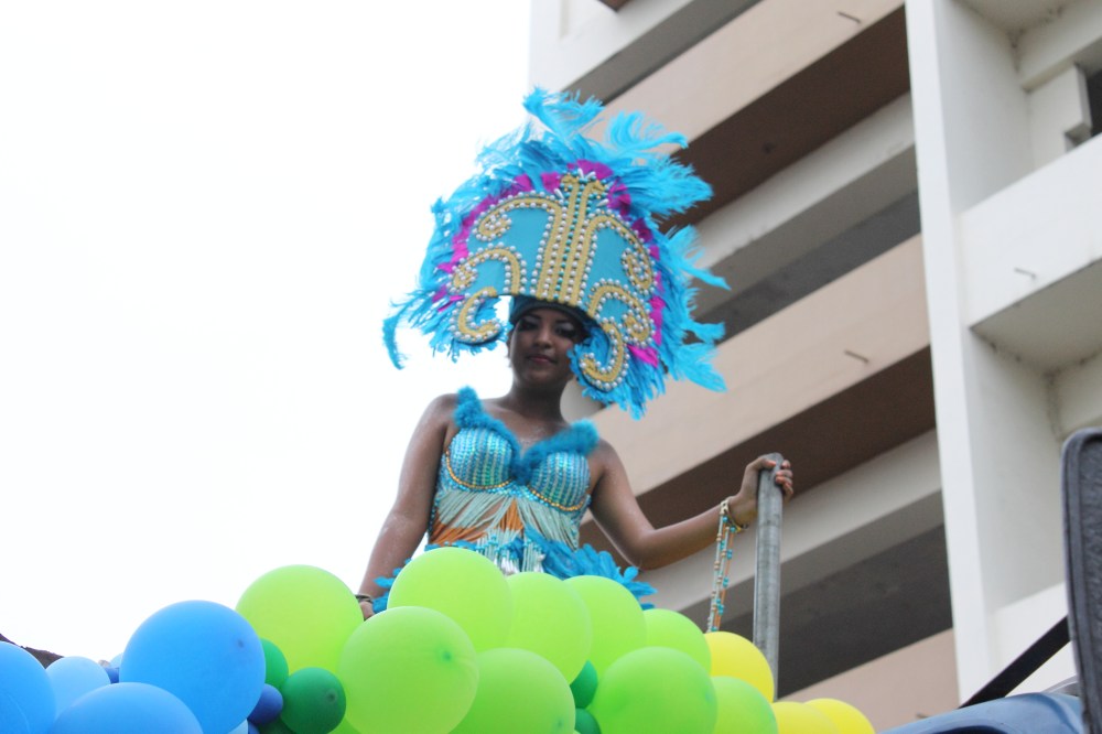 Desfile del Orgullo y Diversidad Sexual 2014 - Organizado por Asociación SIlueta X (9)