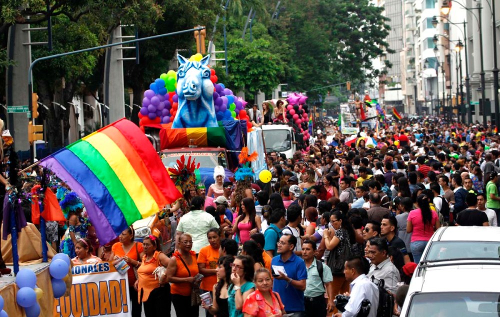 Orgullo y diversidad sexual 2014 - orgullo glbti - orgullo gay guayaquil - asociación silueta x (2)