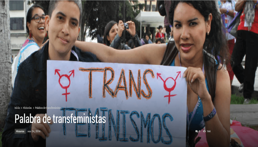 Palabra de transfeministas-DianeRodriguez-SiluetaX