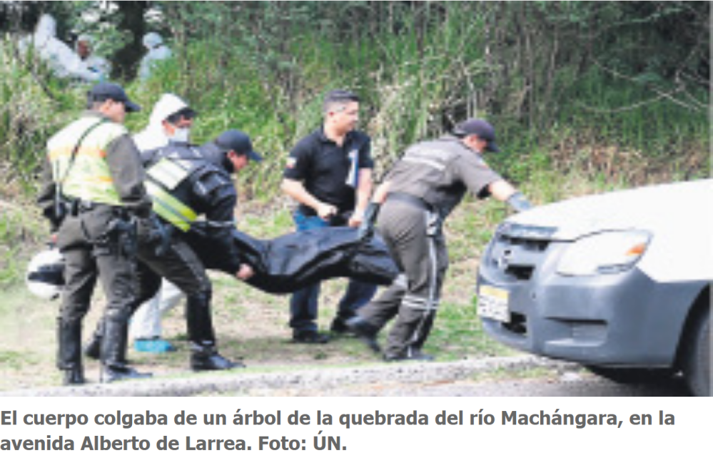 Colgado de un árbol