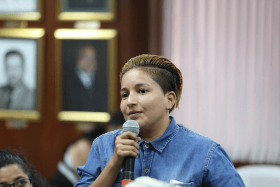 Federación de Organizaciones LGBTI logra acuerdos en favor de los LGBTI con el Consejo Nacional Electoral (9)