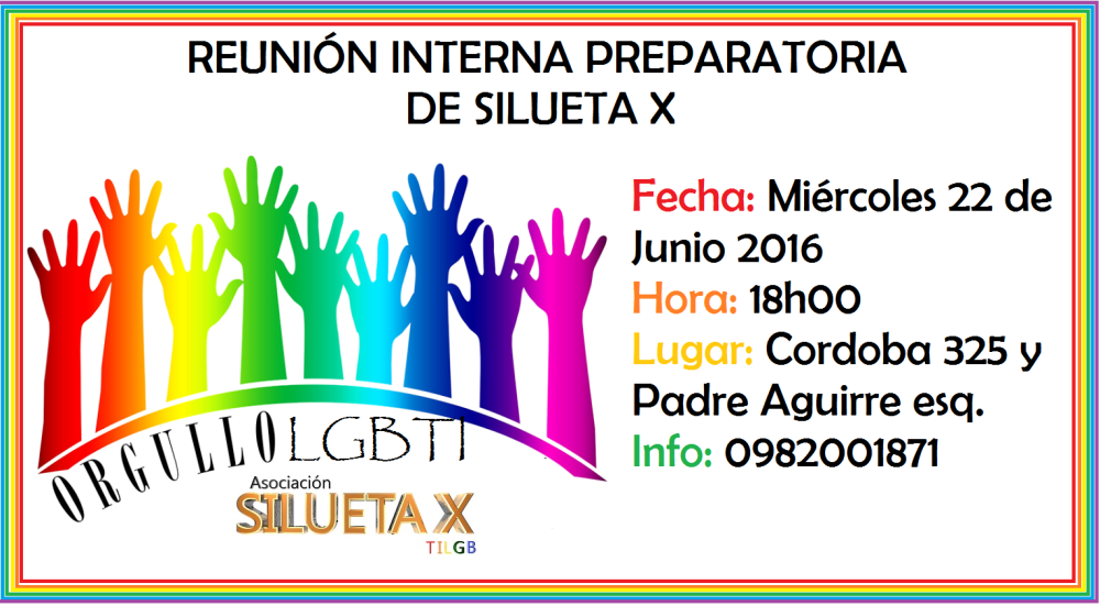 Reunión Prepratoria interna del Orgullo LGBTI 2016 - Silueta X