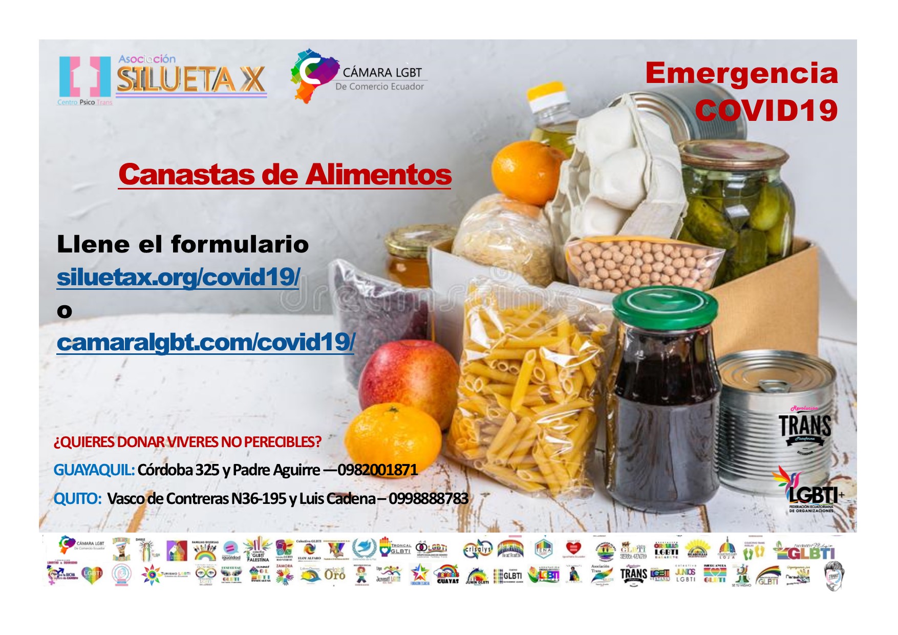 Canasta de Alimentos para LGBT en emergencia Covid19